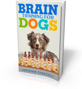 imgi_4_Brain-Training-For-Dogs-3D-Cropped-276x300
