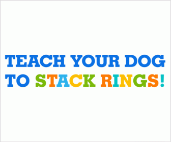 teach-ring-stackers-336x280-a
